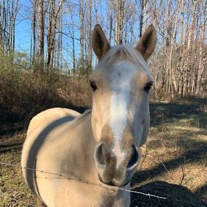 Meet your Posher, Jaclyn